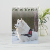 犬の写真 クリスマス フラットカード (スタンド正面)
