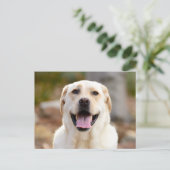 犬の写真 シーズンポストカード (スタンド正面)