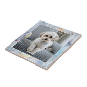 犬の写真，スクリプト名，愛するメモリ内，大理石 タイル (側面)