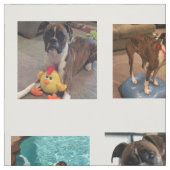 犬の写真 ファブリック (見本)