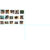 犬の写真 ファブリック (タイル)