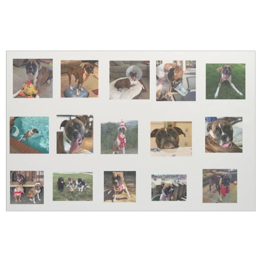 犬の写真 ファブリック (ファットクウォーター)