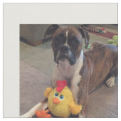 犬の写真 ファブリック (クローズアップ)