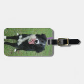 犬の写真 ラゲッジタグ (正面横)