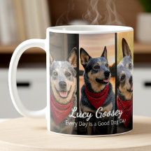 犬の写真 名前 6 写真