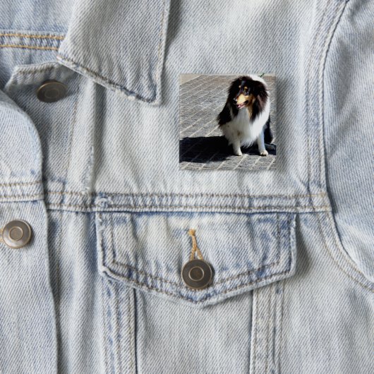 犬の写真 缶バッジ (インサイチュ)