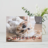 犬の写真 | YAPPY HOWLIDAYS |赤と黒のオーバーラ シーズンカード (スタンド正面)