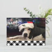 犬の写真 | YAPPY HOWLIDAYS | B&Wバッファローチェック シーズンカード (スタンド正面)