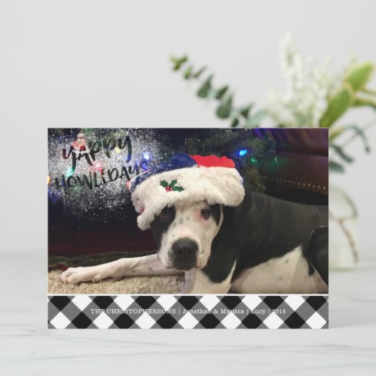 犬の写真 | YAPPY HOWLIDAYS | B&Wバッファローチェック シーズンカード (スタンド正面)