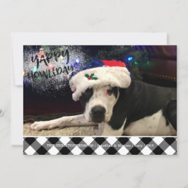 犬の写真 | YAPPY HOWLIDAYS | B&Wバッファローチェック シーズンカード