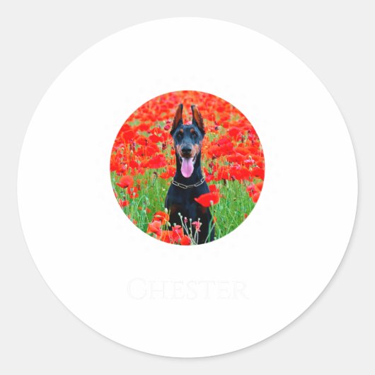 犬の写真TシャツD ペットギフト ラウンドシール (正面)