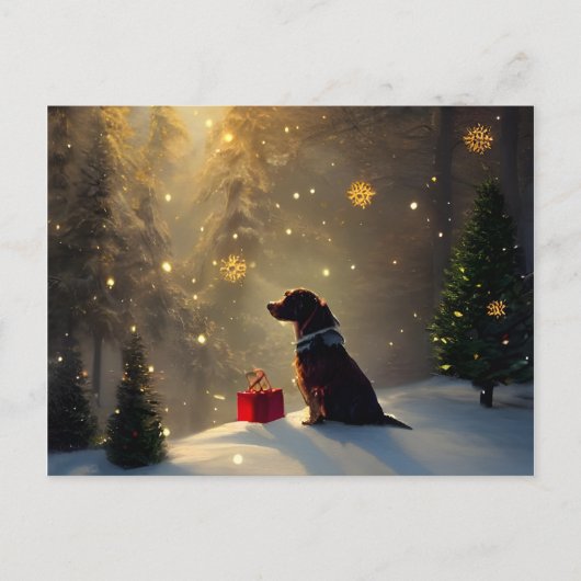 犬の冬のライトグリーティングクリスマスカード シーズンポストカード (正面)