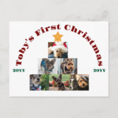犬の初めてのクリスマスフォトツリーパーソナライズされた, Pet, シーズンポストカード (正面)