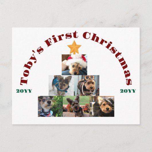 犬の初めてのクリスマスフォトツリーパーソナライズされた, Pet, シーズンポストカード (正面)