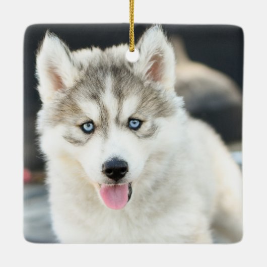犬の初めてのクリスマス写真 セラミックオーナメント (裏面)