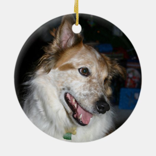 犬の初めてのクリスマス2枚の写真2面の格子模様 セラミックオーナメント (裏面)