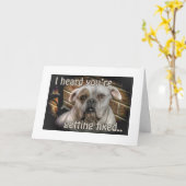 犬の去勢は良いカードを得る カード (黄色い花)