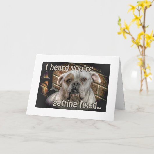 犬の去勢は良いカードを得る カード (黄色い花)