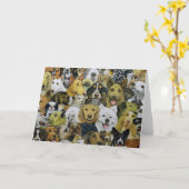 犬の友人 カード (黄色い花)