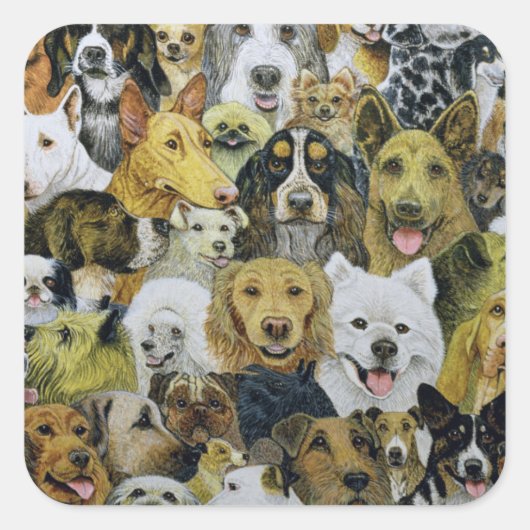 犬の友人 スクエアシール (正面)