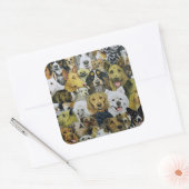 犬の友人 スクエアシール (封筒)