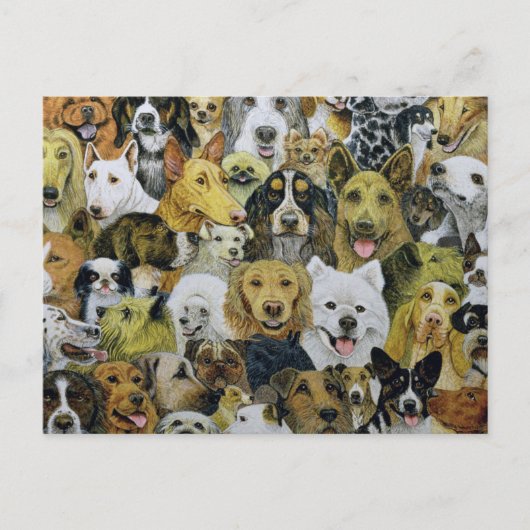 犬の友人 ポストカード (正面)