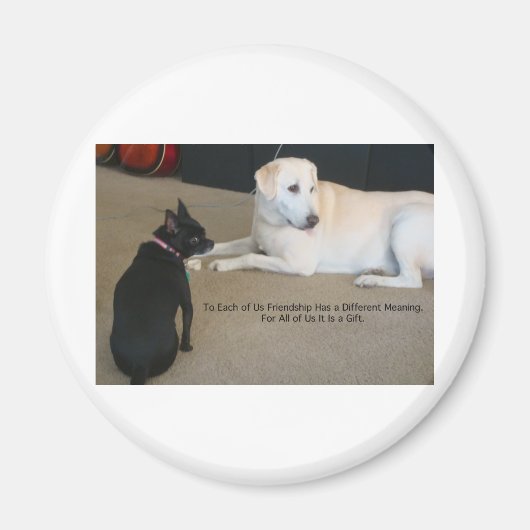 犬の友情 マグネット (正面)