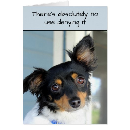 犬の可愛いカードをお許し (正面)