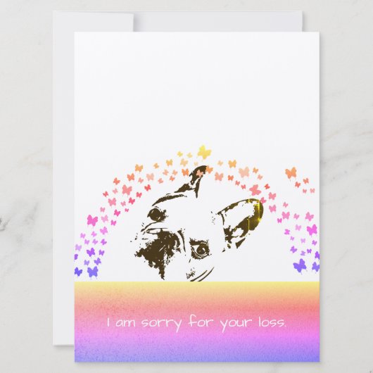 犬の同情カード (正面)