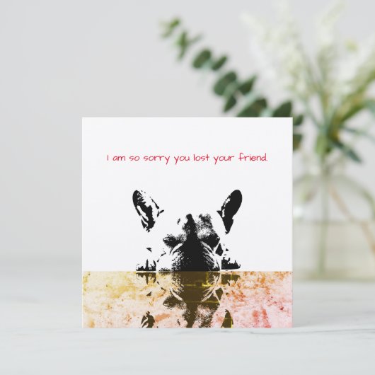 犬の同情カード (スタンド正面)