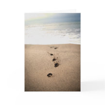 犬の同情カード