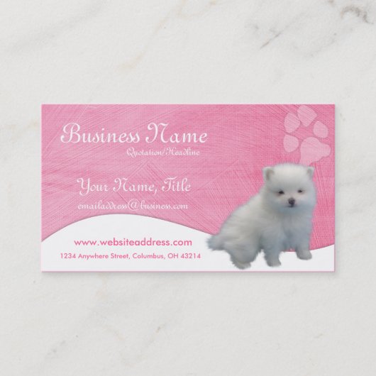 犬の名刺:: ポメラニア犬の子犬 名刺 (正面)