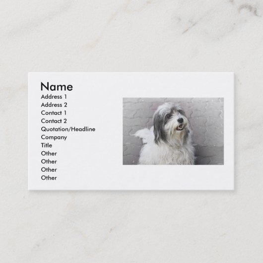 犬の名刺 名刺 (正面)