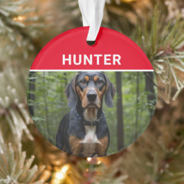 犬の名前と写真のクリスマスを探す オーナメント