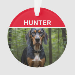 犬の名前と写真のクリスマスを探す オーナメント