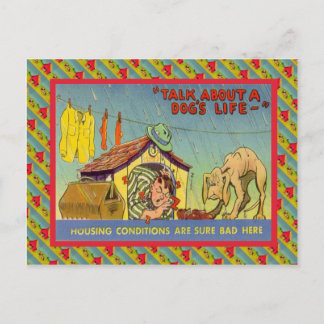 犬の命について… ポストカード