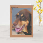 犬の哀悼カード カード (黄色い花)