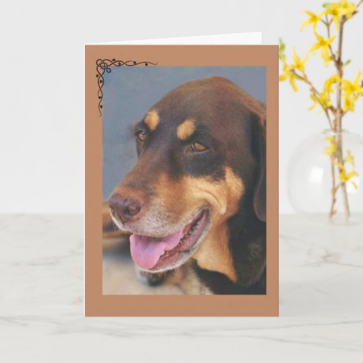 犬の哀悼カード カード (黄色い花)