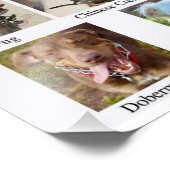 犬の品種グラフポスター フォトプリント            (角)