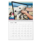 犬の品種、カレンダー カレンダー (1月 2026)