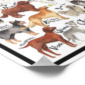 犬の品種 ポスター (角)