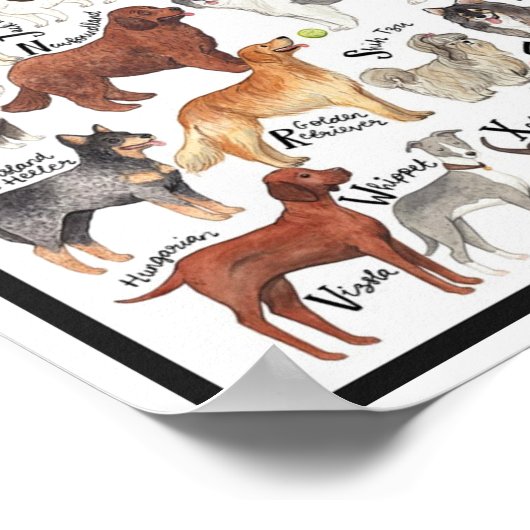 犬の品種 ポスター (角)