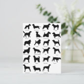 犬の品種 ポストカード (スタンド正面)