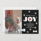 犬の喜びの休日の写真カード挨拶 シーズンカード (正面)
