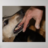 犬の噛む指 ポスター (正面)