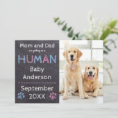 犬の妊娠の発表 案内状 (スタンド正面)