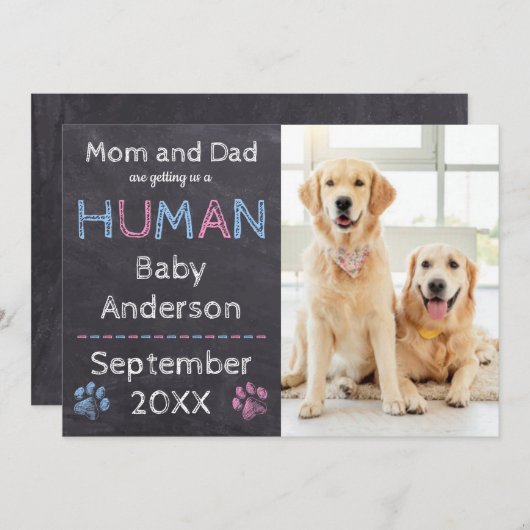 犬の妊娠の発表 案内状 (正面/裏面)