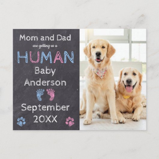 犬の妊娠告知はがき 案内ポストカード (正面)