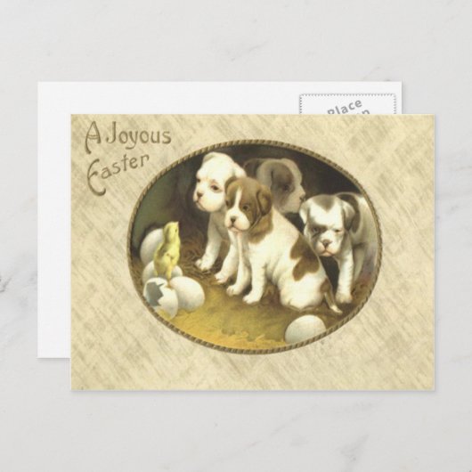 犬の子犬のイースターひよこの卵 シーズンポストカード (正面/裏面)
