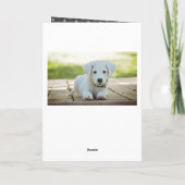 犬の子犬の写真パインスノーフレークスメリークリスマス シーズンカード (裏面)